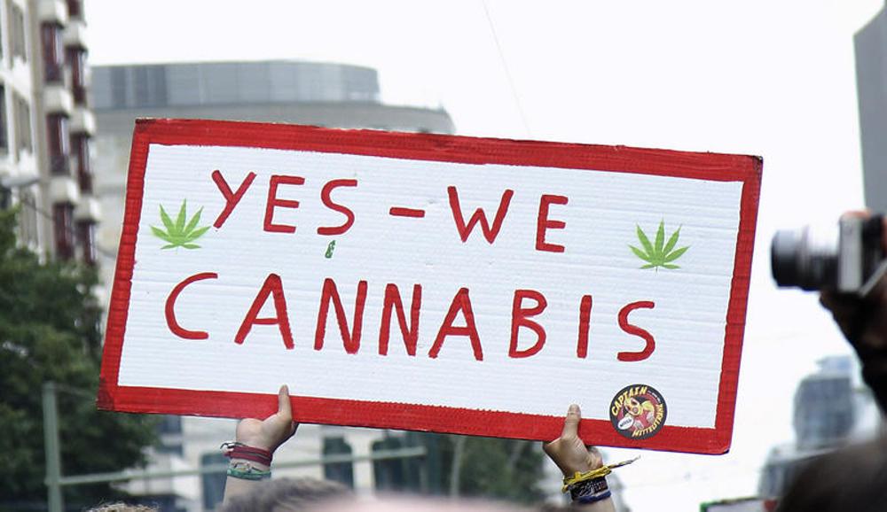 Mediziner warnen vor Verharmlosung von Cannabis