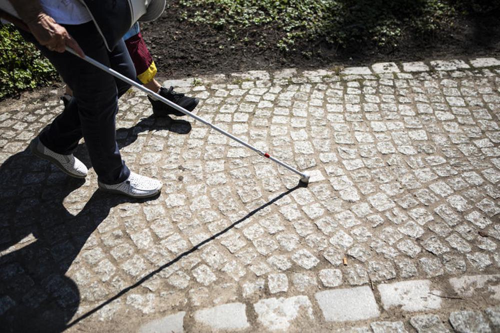 Kein pauschal barrierefreier Zugang für Blinde zu Verfahrensakten