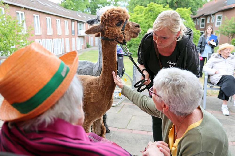 Martina Osmers (re.) besucht mit ihren Alpakas die Pflegeeinrichtung "Haus Emmaus" in Bremen