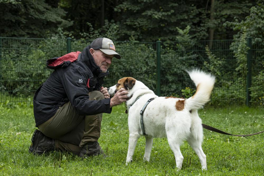 "So ist recht" - Hundesprache will gelernt sein.
