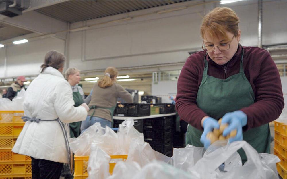 Verpackung von Lebensmitteln im Berliner Gro&szlig;markt f&uuml;r die Berliner Tafel (Archivbild)