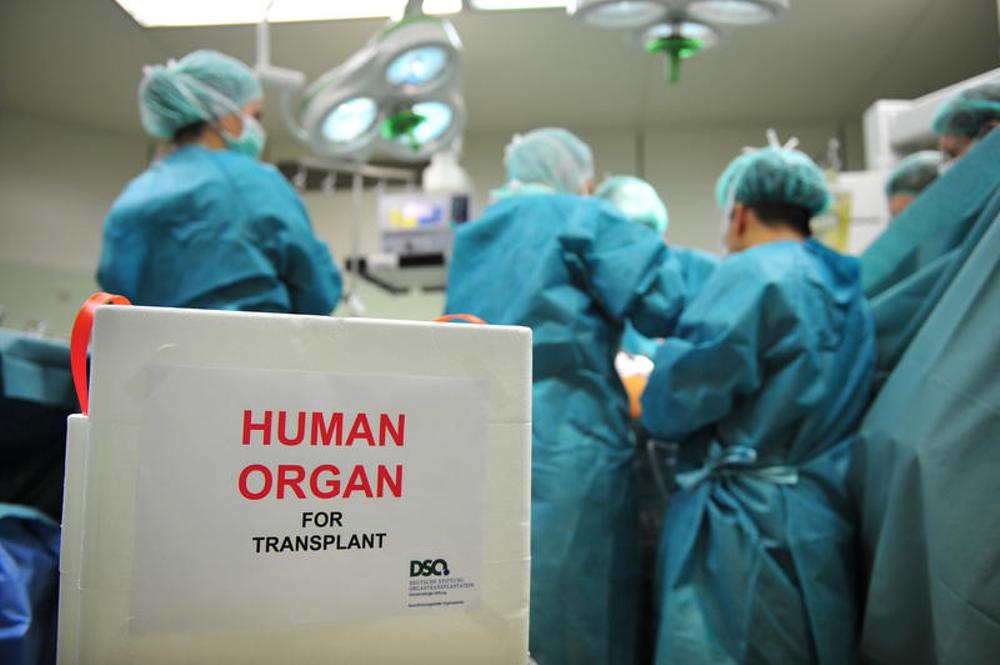 Organspende