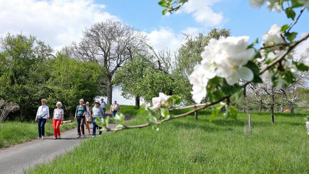 Teilnehmerinnen und Teilnehmer eines Trauerspaziergangs bei Gro&szlig;-Umstadt