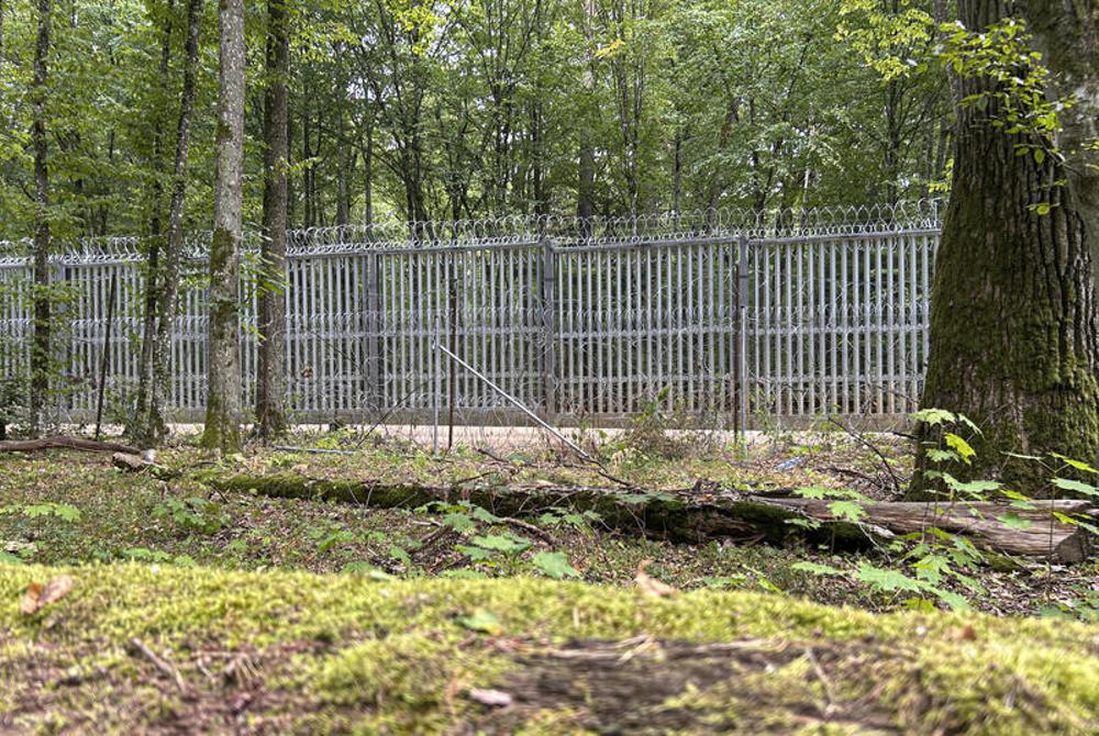 Grenzzaun im Bialowieza Wald an der polnisch-belarussischen Grenze