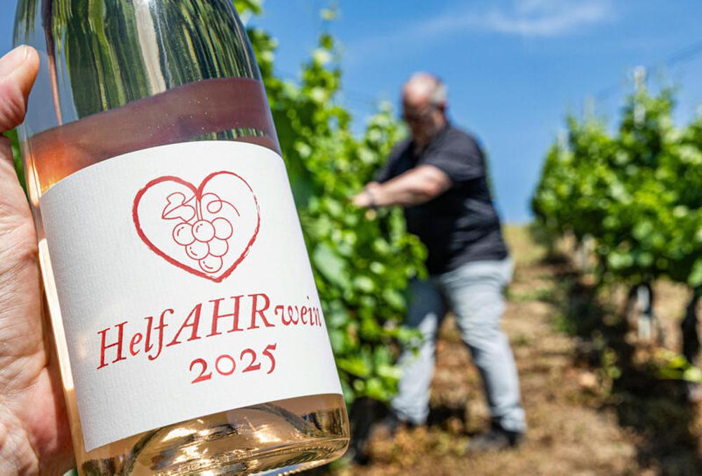 Fluthelfer mit einer Weinflasche auf dem Weinberg der Initiative "HelfAHRwein" in Bad Neuenahr-Ahrweiler