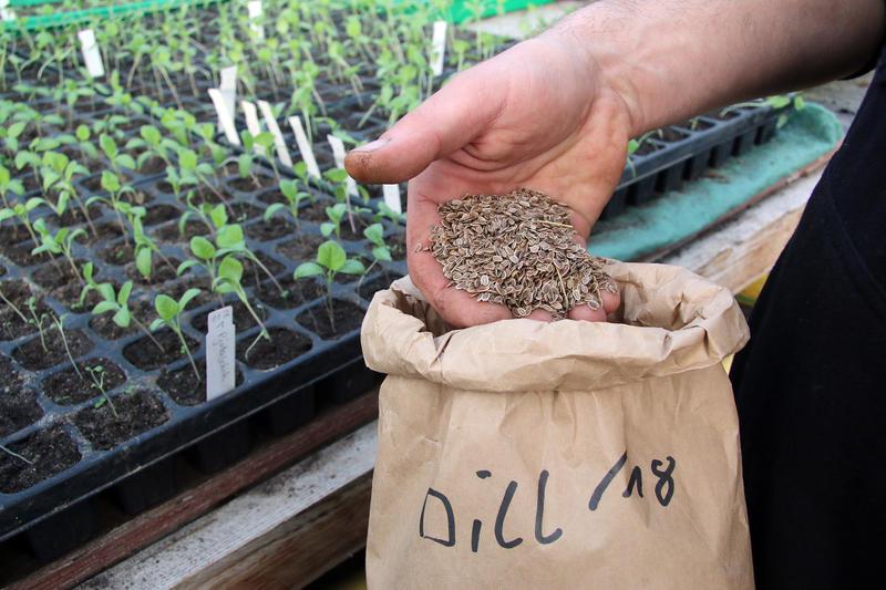 Ruthje, Baba und die Rote Zora