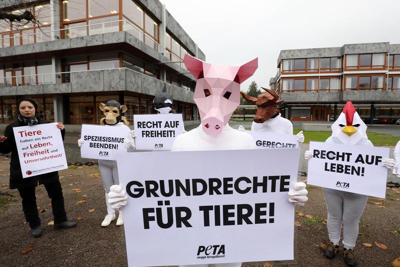 Peta will Grundrechte für Tiere erstreiten