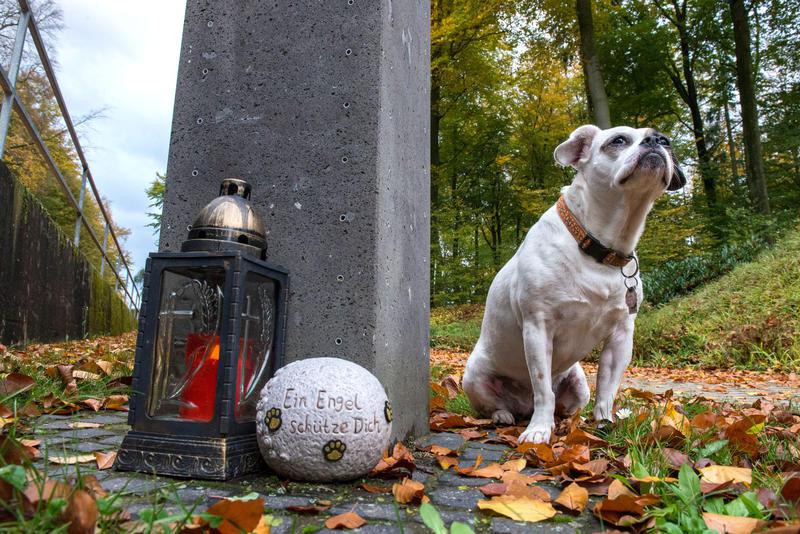 Freundschaft bis in den Tod 