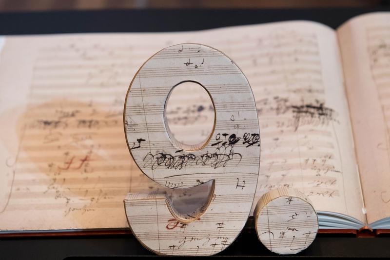 Steinmeier: Beethoven ist pure Emotion